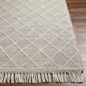 Livabliss Hemingway Flatweave Handwoven Wool Blend Accent Rug for Entryways and Cottage Spaces Ivory, Black 27" x 45" HMG2302-2339