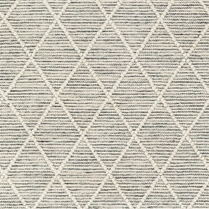 Livabliss Hemingway Flatweave Handwoven Wool Blend Accent Rug for Entryways and Cottage Spaces Ivory, Black 27" x 45" HMG2302-2339