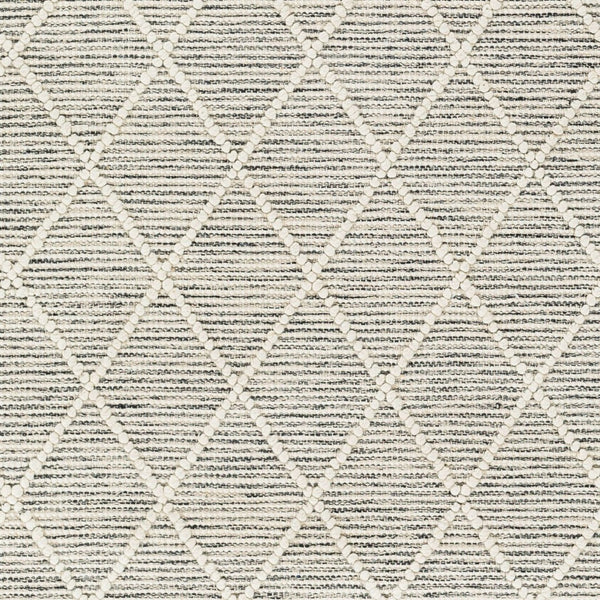 Livabliss Hemingway Flatweave Handwoven Wool Blend Accent Rug for Entryways and Cottage Spaces Ivory, Black 27" x 45" HMG2302-2339