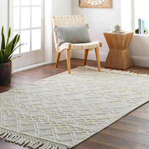Livabliss Hemingway Handwoven Flatweave Wool Blend Rug Global Pattern for Entryways and Hallways Ivory, Black 8' x 10' HMG2303-810