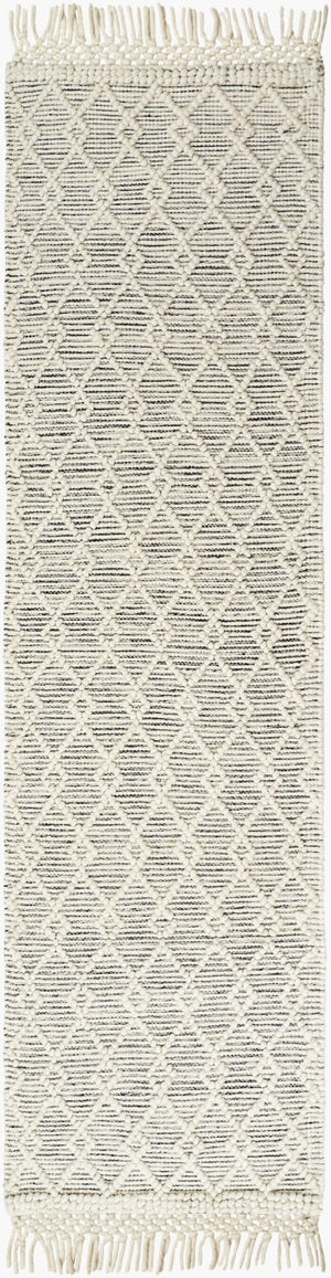 Livabliss Hemingway Handwoven Flatweave Wool Blend Rug for Entryways with Fringe Accents Ivory, Black 2' x 5' HMG2304-25