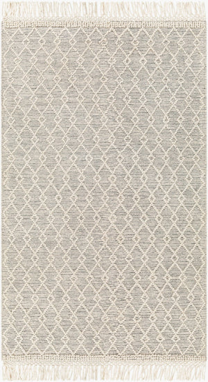 Livabliss Hemingway Handwoven Flatweave Wool Blend Rug for Entryways with Fringe Accents Ivory, Black 3' x 3' HMG2304-3RD