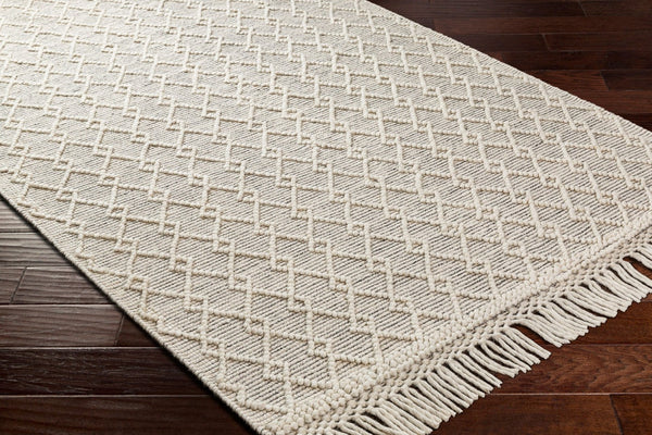Livabliss Hemingway Handwoven Flatweave Wool Blend Rug for Entryways with Fringe Accents Ivory, Black 3' x 3' HMG2304-3RD