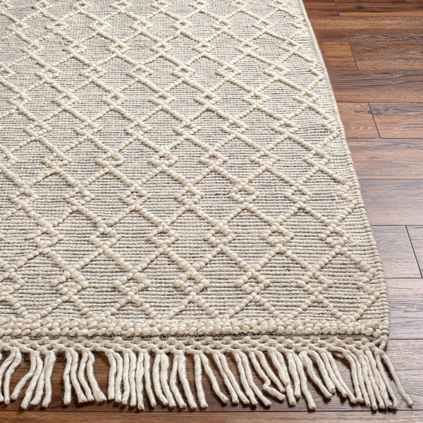 Livabliss Hemingway Handwoven Flatweave Wool Blend Rug for Entryways with Fringe Accents Ivory, Black 3' x 3' HMG2304-3RD