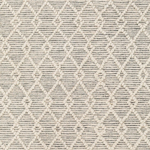 Livabliss Hemingway Handwoven Flatweave Wool Blend Rug for Entryways with Fringe Accents Ivory, Black 3' x 3' HMG2304-3RD