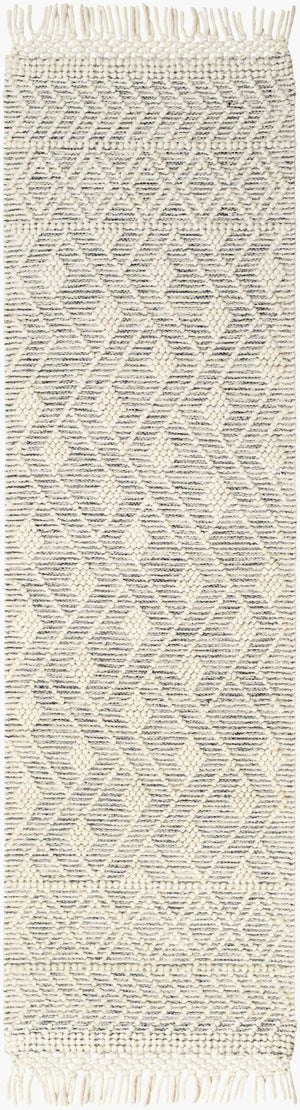 Livabliss Hemingway Flatweave Wool Blend Area Rug Handwoven Cottage Charm for Entryways Ivory, Black 2' x 5' HMG2305-25
