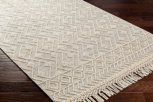 Livabliss Hemingway Flatweave Wool Blend Area Rug Handwoven Cottage Charm for Entryways Ivory, Black 2' x 5' HMG2305-25