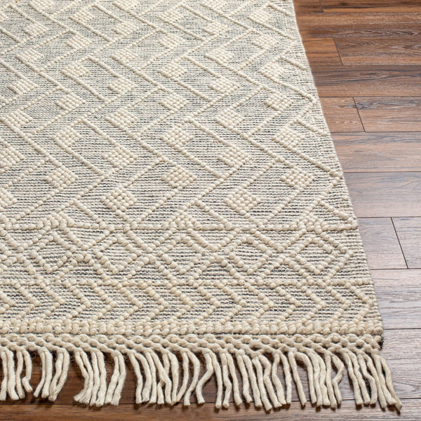 Livabliss Hemingway Flatweave Wool Blend Area Rug Handwoven Cottage Charm for Entryways Ivory, Black 2' x 5' HMG2305-25