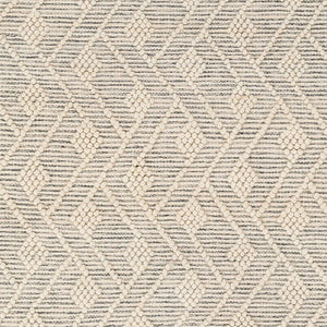 Livabliss Hemingway Flatweave Wool Blend Area Rug Handwoven Cottage Charm for Entryways Ivory, Black 2' x 5' HMG2305-25