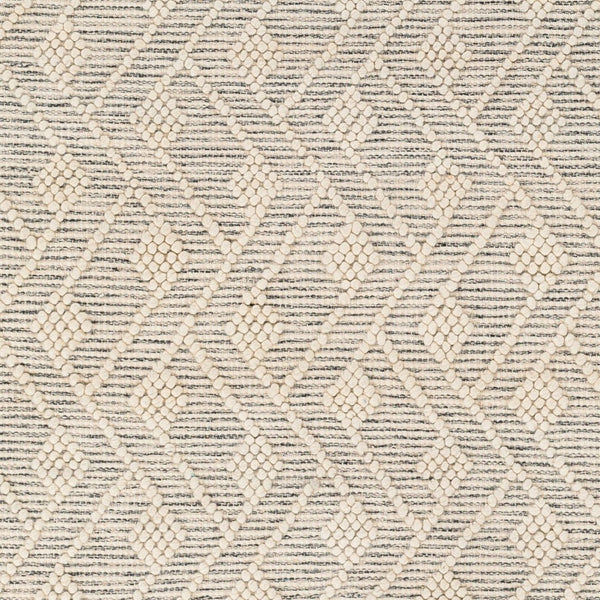 Livabliss Hemingway Flatweave Wool Blend Area Rug Handwoven Cottage Charm for Entryways Ivory, Black 2' x 5' HMG2305-25