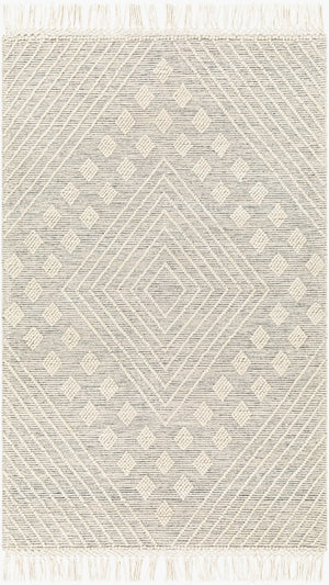 Livabliss Hemingway Handwoven Flatweave Wool Blend Rug for Cottage and Farmhouse Interiors Ivory, Black 27" x 45" HMG2306-2339