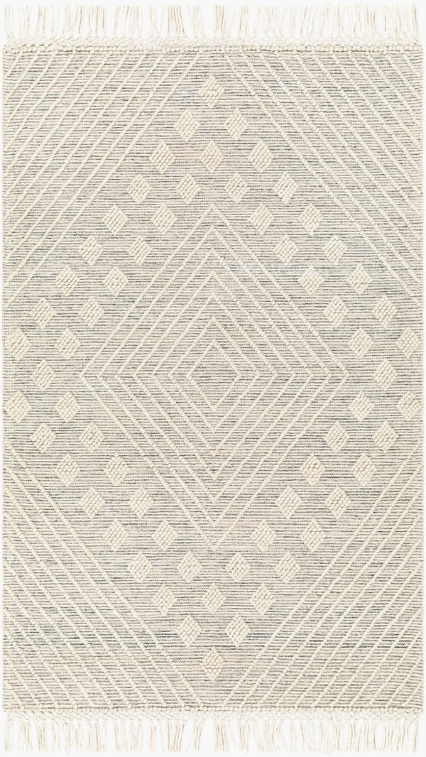 Livabliss Hemingway Handwoven Flatweave Wool Blend Rug for Cottage and Farmhouse Interiors Ivory, Black 27" x 45" HMG2306-2339