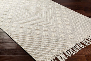 Livabliss Hemingway Handwoven Flatweave Wool Blend Rug for Cottage and Farmhouse Interiors Ivory, Black 27" x 45" HMG2306-2339