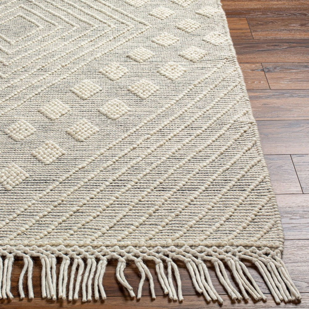 Livabliss Hemingway Handwoven Flatweave Wool Blend Rug for Cottage and Farmhouse Interiors Ivory, Black 27" x 45" HMG2306-2339