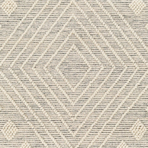 Livabliss Hemingway Handwoven Flatweave Wool Blend Rug for Cottage and Farmhouse Interiors Ivory, Black 27" x 45" HMG2306-2339