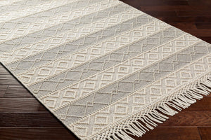 Livabliss Hemingway Handwoven Wool Blend Flatweave Accent Rug for Entryways and Cozy Cottage Spaces Ivory, Beige 9' x 12' HMG2308-912