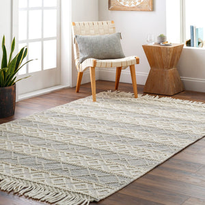 Livabliss Hemingway Handwoven Wool Blend Flatweave Accent Rug for Entryways and Cozy Cottage Spaces Ivory, Beige 9' x 12' HMG2308-912