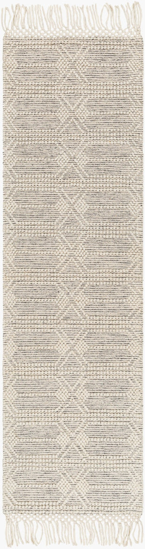 Livabliss Hemingway Handwoven Wool Blend Flat Weave Rug Cottage Style Accent for Bedroom or Entryway Ivory, Black 2' x 5' HMG2310-25
