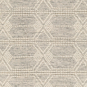 Livabliss Hemingway Handwoven Wool Blend Flat Weave Rug Cottage Style Accent for Bedroom or Entryway Ivory, Black 8' x 10' HMG2310-810