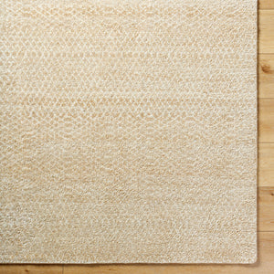 Hoffenheim HOF-2301 9' x 12' Handmade Rug HOF2301-912  Ash, Warm Grey, Khaki Surya