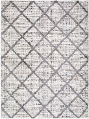 Livabliss Honour Bohemian Global Plush High Pile Area Rug Woven in Turkey for Living Rooms HON2302-537
