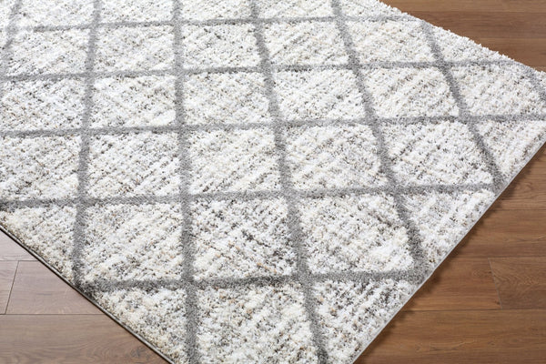Livabliss Honour Bohemian Global Plush High Pile Area Rug Woven in Turkey for Living Rooms HON2302-537