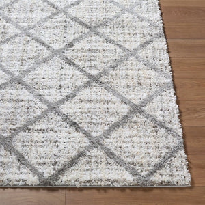 Livabliss Honour Bohemian Global Plush High Pile Area Rug Woven in Turkey for Living Rooms HON2302-537