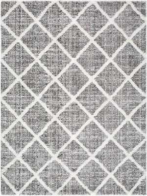 Livabliss Honour Bohemian Global High Pile Rug Turkey Woven Plush Polypropylene Living Room HON2303-537