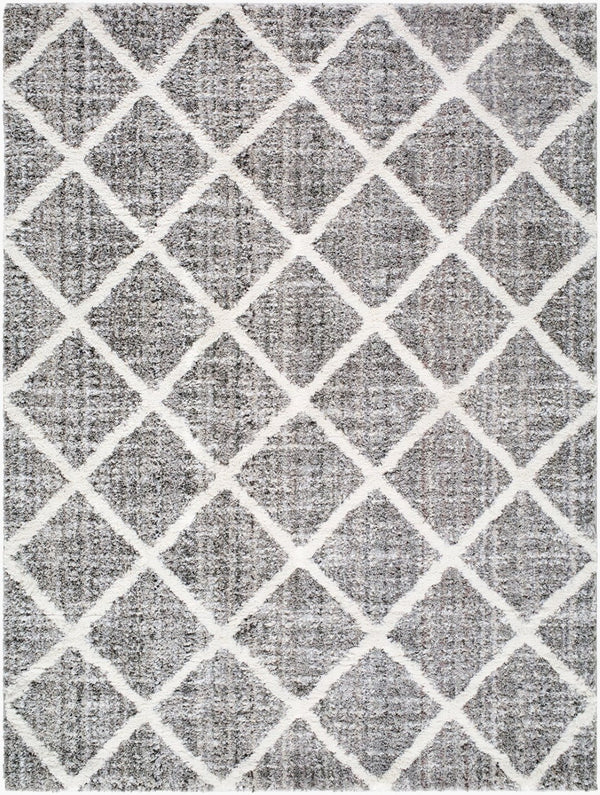 Livabliss Honour Bohemian Global High Pile Rug Turkey Woven Plush Polypropylene Living Room HON2303-537