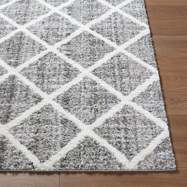 Livabliss Honour Bohemian Global High Pile Rug Turkey Woven Plush Polypropylene Living Room HON2303-537