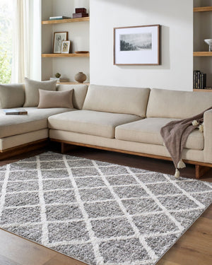 Livabliss Honour Bohemian Global High Pile Rug Turkey Woven Plush Polypropylene Living Room HON2303-537