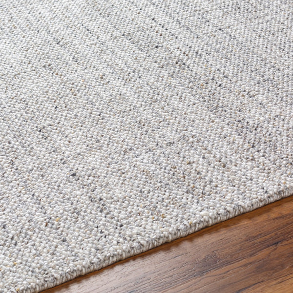 Surya Hope Hop-2300 Eco-friendly Hand Loomed 2' X 3' Area Rug - Unique Texture For Modern Spaces! White Recycled Pet Yarn Hop2302-268
