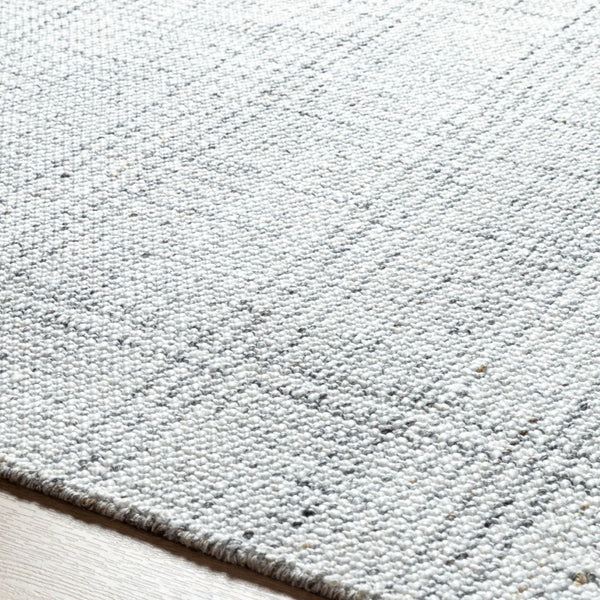 Surya Hope Hop-2300 Eco-friendly Hand Loomed 2' X 3' Area Rug - Unique Texture For Modern Spaces! White Recycled Pet Yarn Hop2303-268