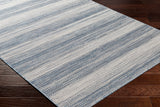 Hampton HPT-2301 8'11" x 12' Machine Woven Rug HPT2301-81112 Livabliss Surya