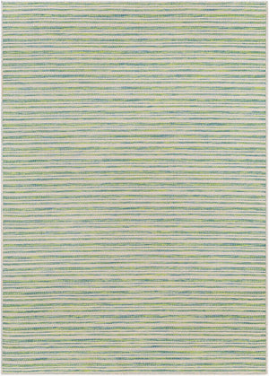 Livabliss Hampton Flatweave Polypropylene Area Rug Geometric Low Profile Indoor Outdoor Floor Ivory, Emerald 7'8" x 7'8" Round HPT2307-77RD