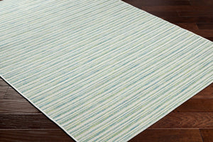 Livabliss Hampton Flatweave Polypropylene Area Rug Geometric Low Profile Indoor Outdoor Floor Ivory, Emerald 7'8" x 7'8" Round HPT2307-77RD
