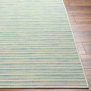Livabliss Hampton Flatweave Polypropylene Area Rug Geometric Low Profile Indoor Outdoor Floor Ivory, Emerald 7'8" x 7'8" Round HPT2307-77RD