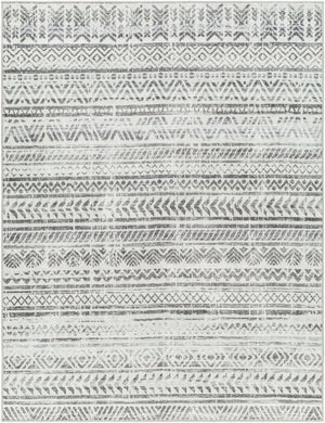 Livabliss Hera Global Bohemian Polyester Area Rug Medium Pile Living Room Floor Accent HRH2301-810119