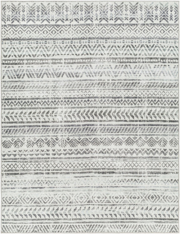 Livabliss Hera Global Bohemian Polyester Area Rug Medium Pile Living Room Floor Accent HRH2301-810119