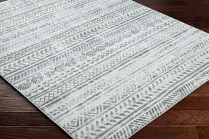 Livabliss Hera Global Bohemian Polyester Area Rug Medium Pile Living Room Floor Accent HRH2301-810119