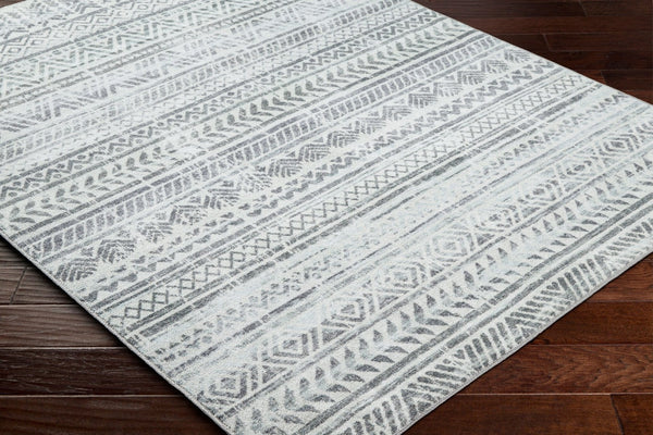 Livabliss Hera Global Bohemian Polyester Area Rug Medium Pile Living Room Floor Accent HRH2301-810119