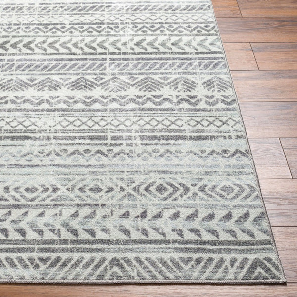 Livabliss Hera Global Bohemian Polyester Area Rug Medium Pile Living Room Floor Accent HRH2301-810119