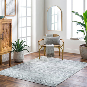 Livabliss Hera Global Bohemian Polyester Area Rug Medium Pile Living Room Floor Accent HRH2301-810119
