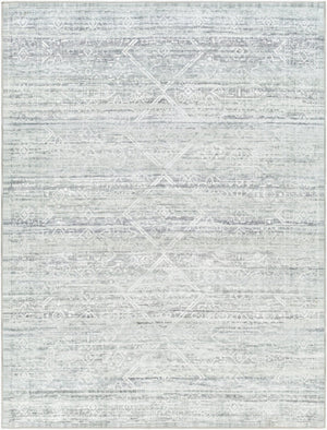 Livabliss Hera Traditional Motif Polyester Area Rug Machine Woven in Turkey for Living Rooms Medium Gray, Gr 8'10" x 11'10" HRH2302-810119