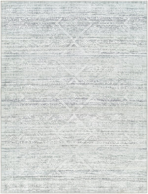 Hera HRH-2302 8'10" x 11'10" Machine Woven Rug HRH2302-810119 Livabliss Surya