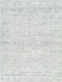 Hera Machine Woven Rug HRH-2302