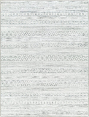Livabliss Hera Plush Polyester Bohemian Global Area Rug Machine Woven for Living or Dining Rooms HRH2303-810119