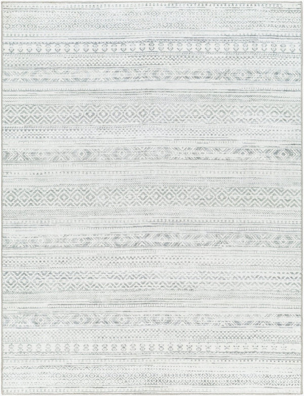 Livabliss Hera Plush Polyester Bohemian Global Area Rug Machine Woven for Living or Dining Rooms HRH2303-810119