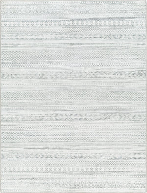 Hera HRH-2303 8'10" x 11'10" Machine Woven Rug HRH2303-810119 Livabliss Surya