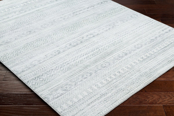Livabliss Hera Plush Polyester Bohemian Global Area Rug Machine Woven for Living or Dining Rooms HRH2303-810119